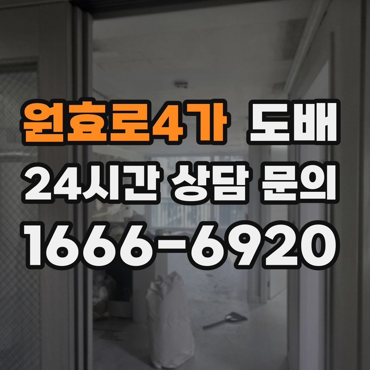 원효로4가 도배