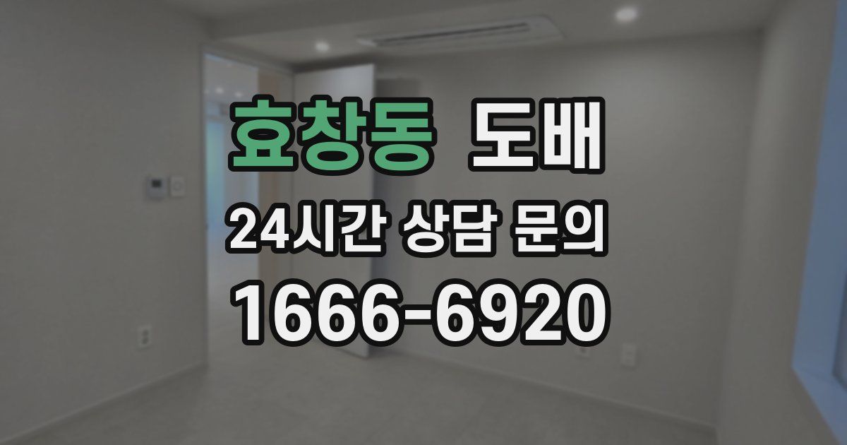 효창동 도배