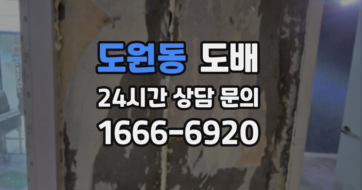 도원동 도배