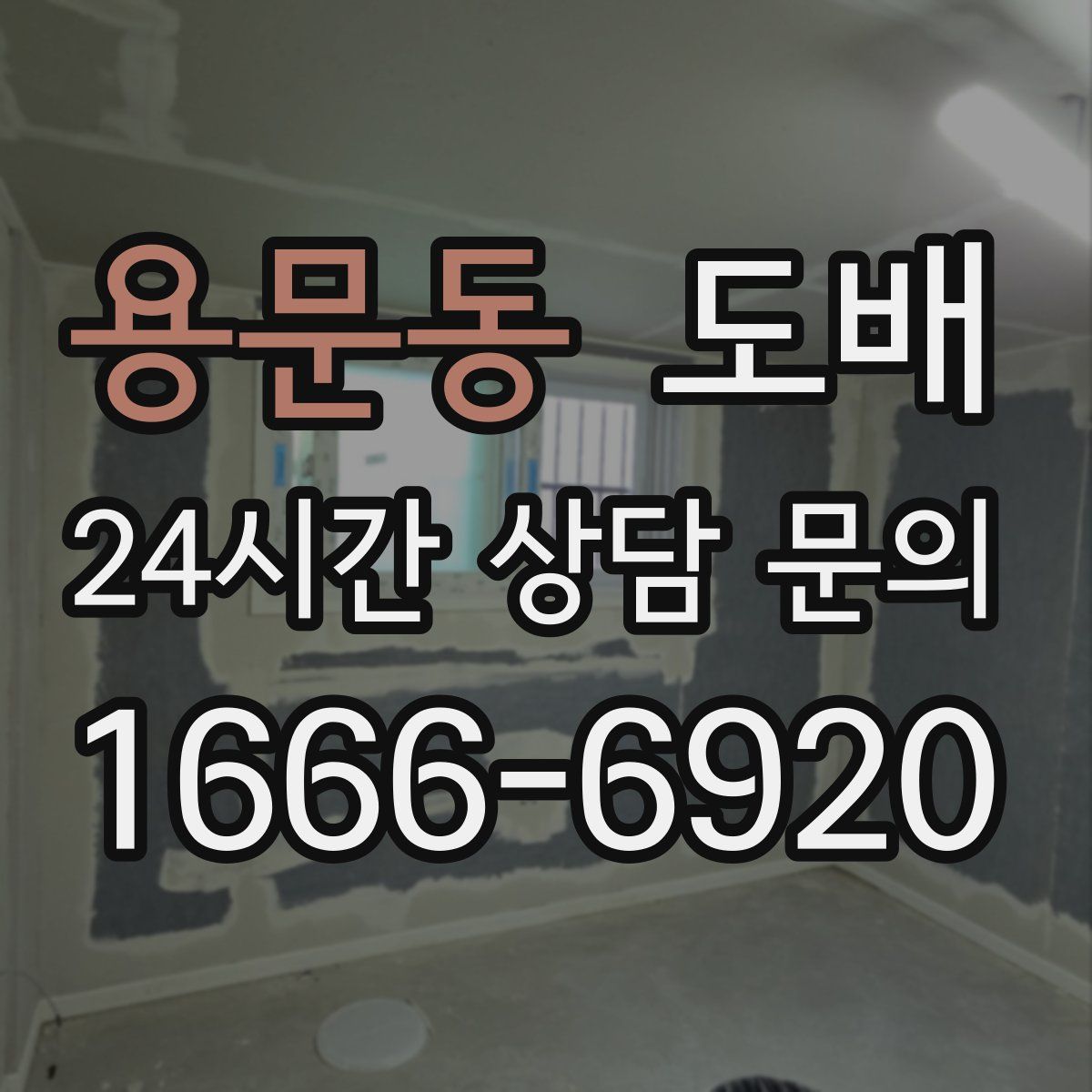 용문동 도배