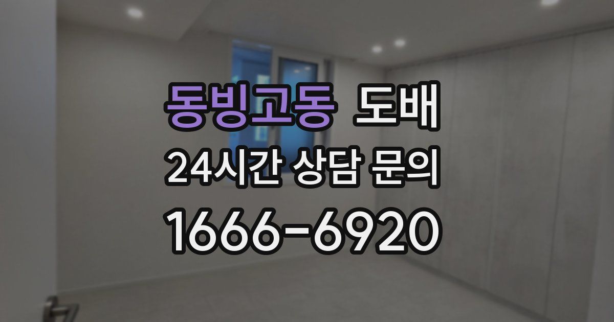 동빙고동 도배