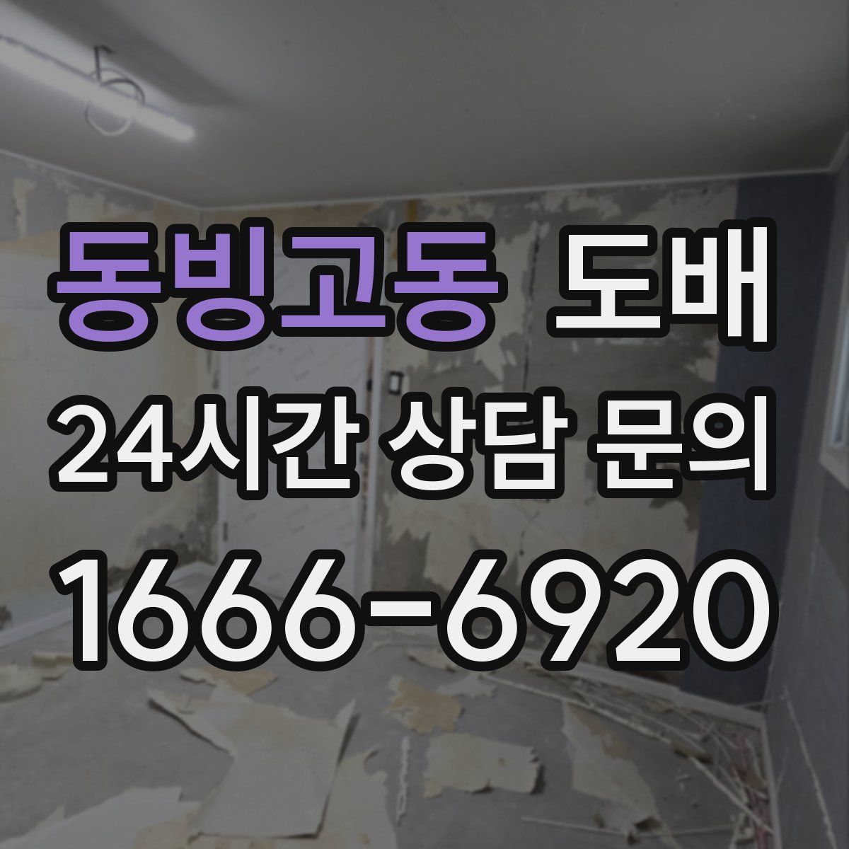 동빙고동 도배