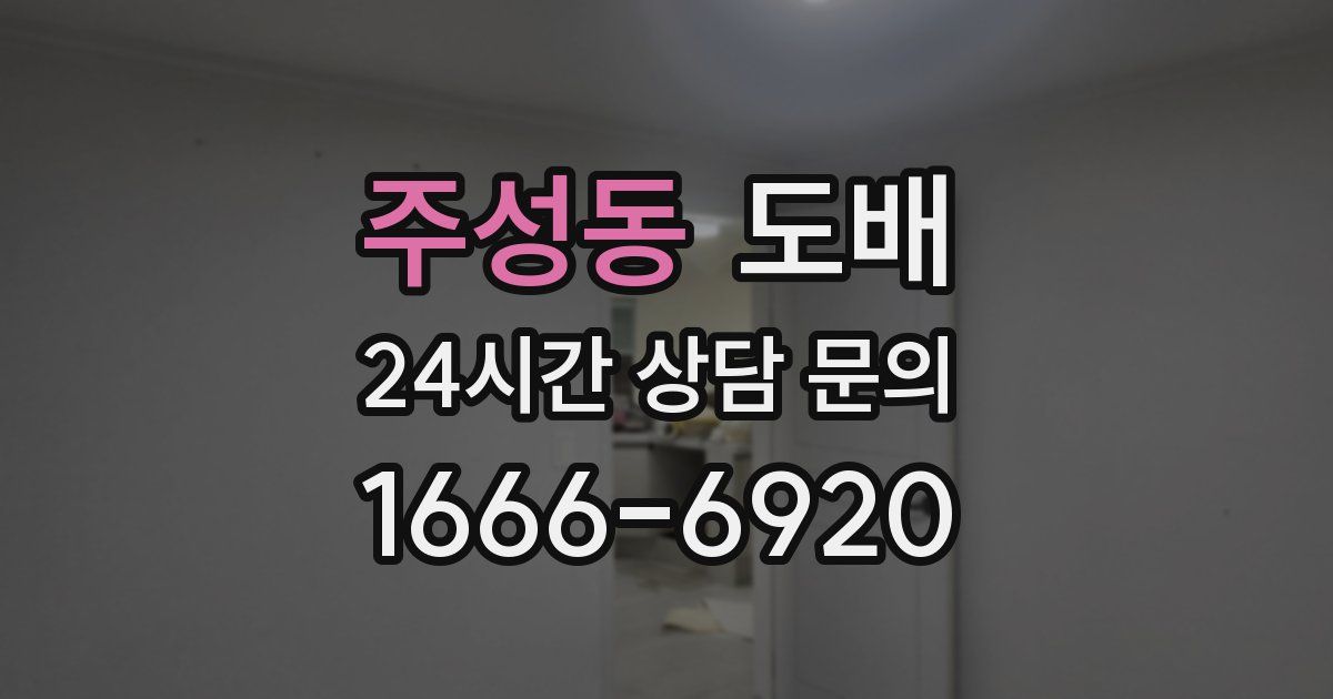 주성동 도배