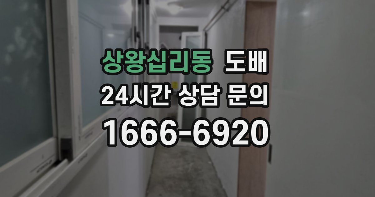 상왕십리동 도배