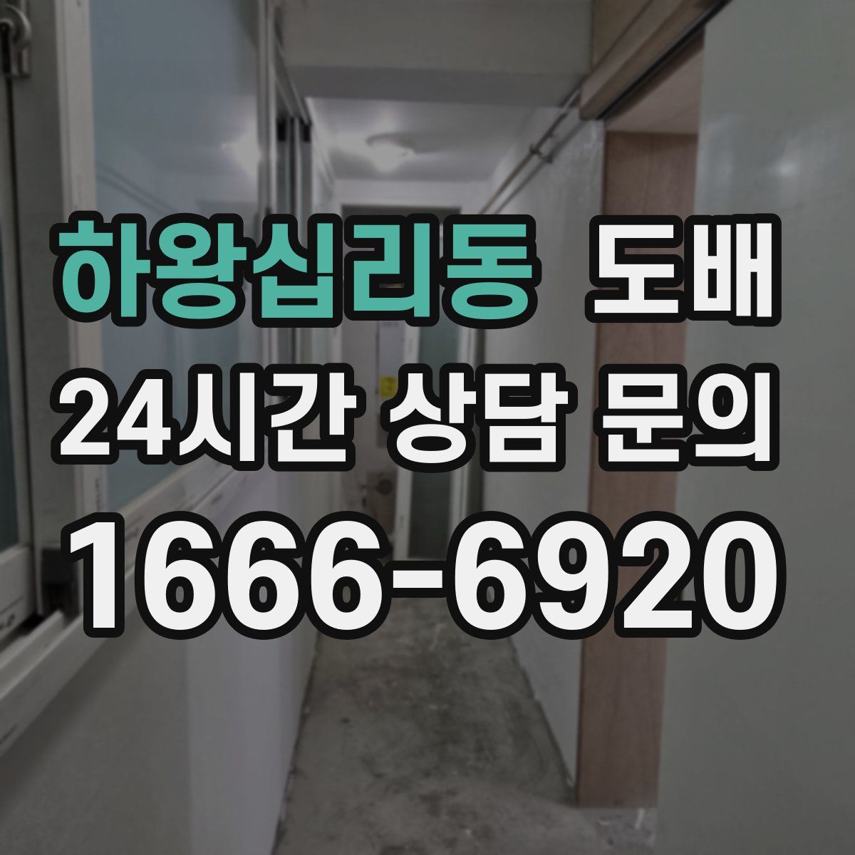 하왕십리동 도배