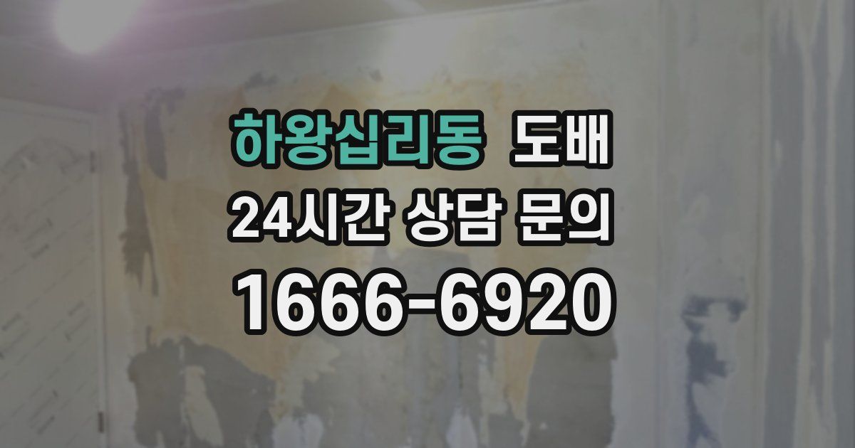 하왕십리동 도배