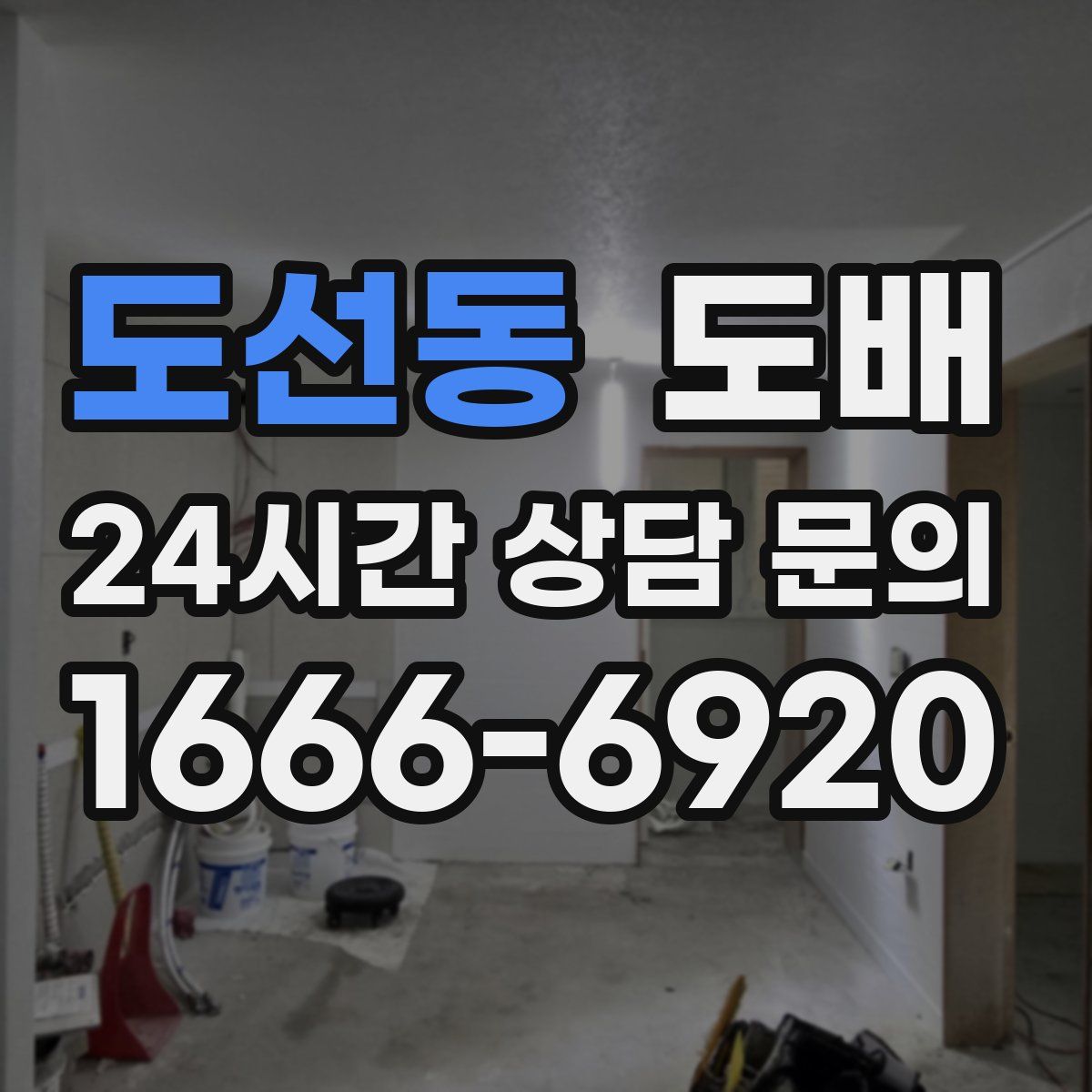 도선동 도배
