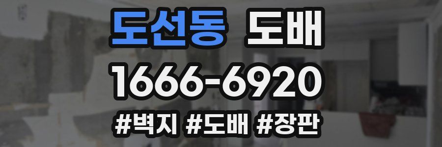 도선동 도배