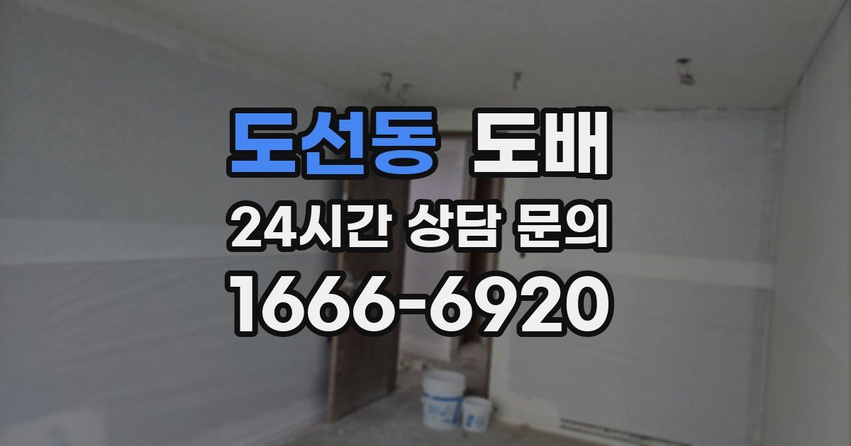 도선동 도배