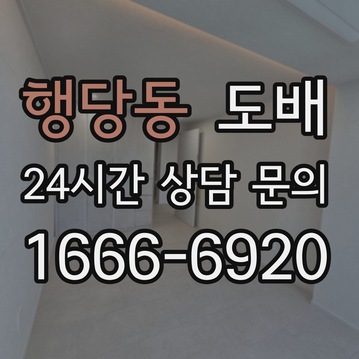 행당동 도배