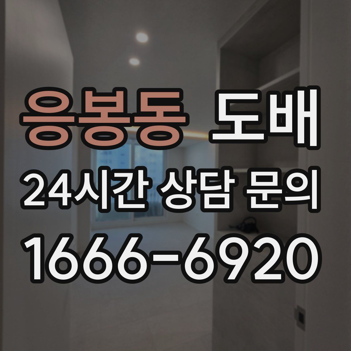 응봉동 도배