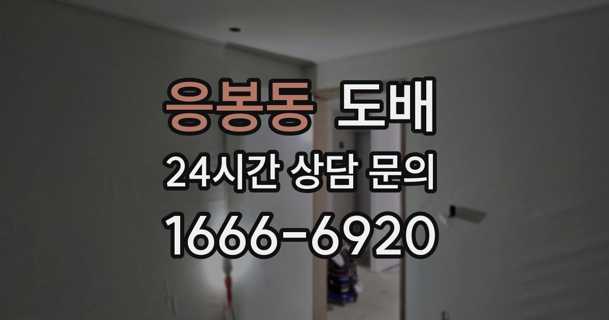 응봉동 도배