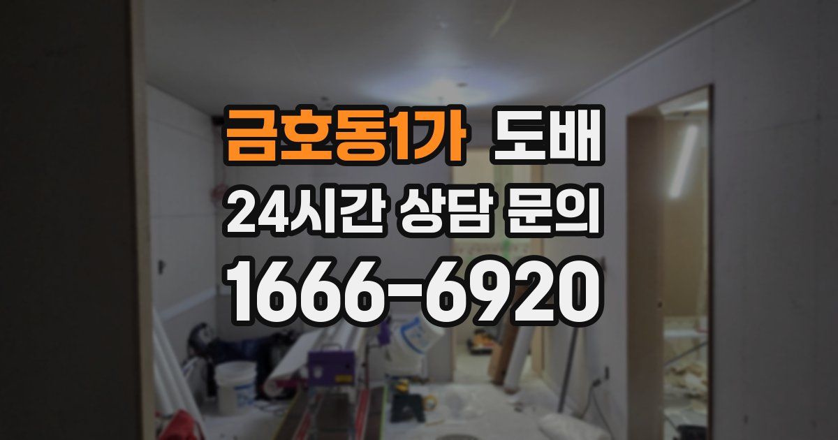 금호동1가 도배