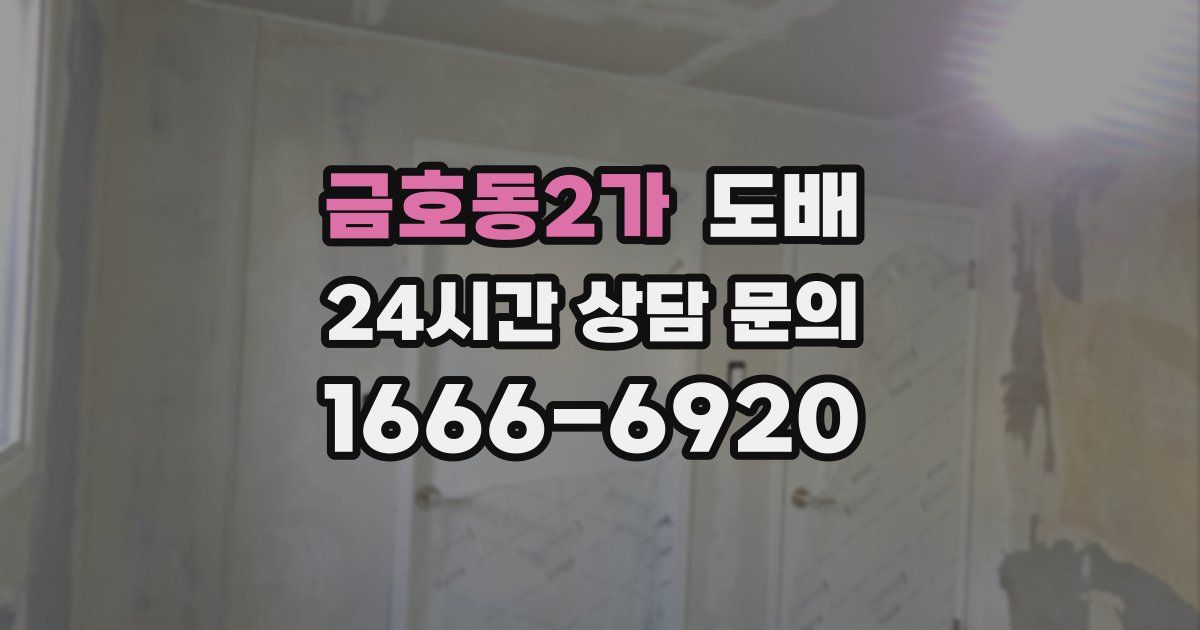 금호동2가 도배