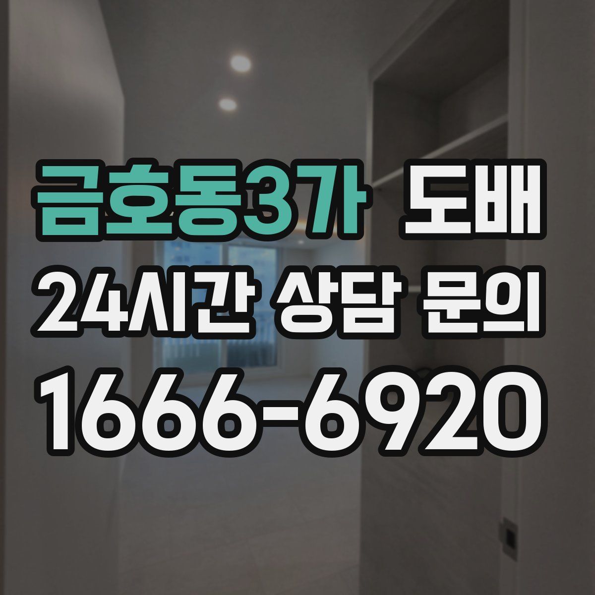 금호동3가 도배