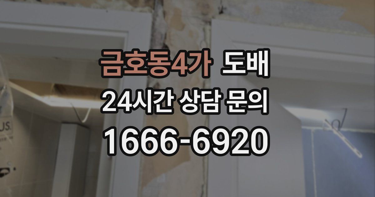 금호동4가 도배