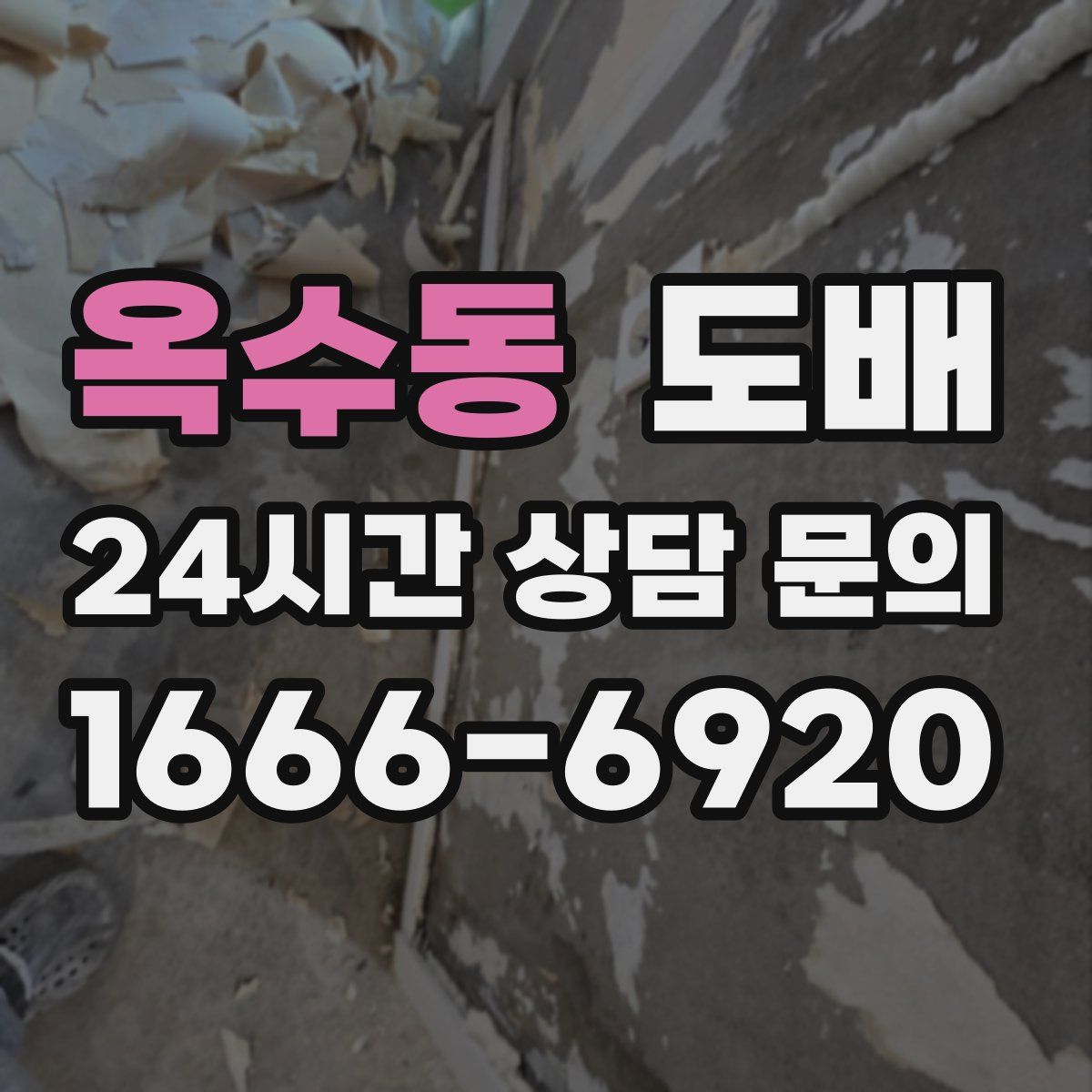 옥수동 도배
