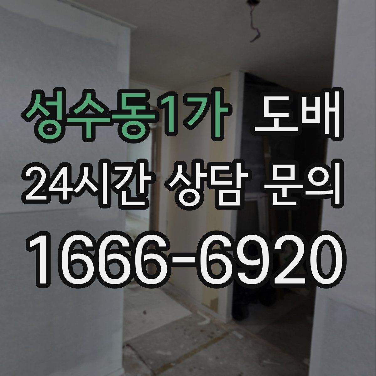 성수동1가 도배