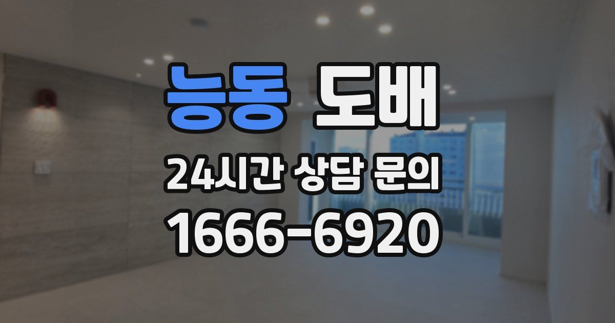 능동 도배