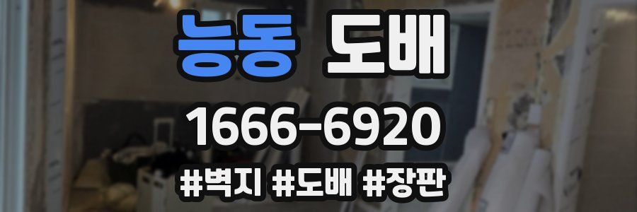 능동 도배