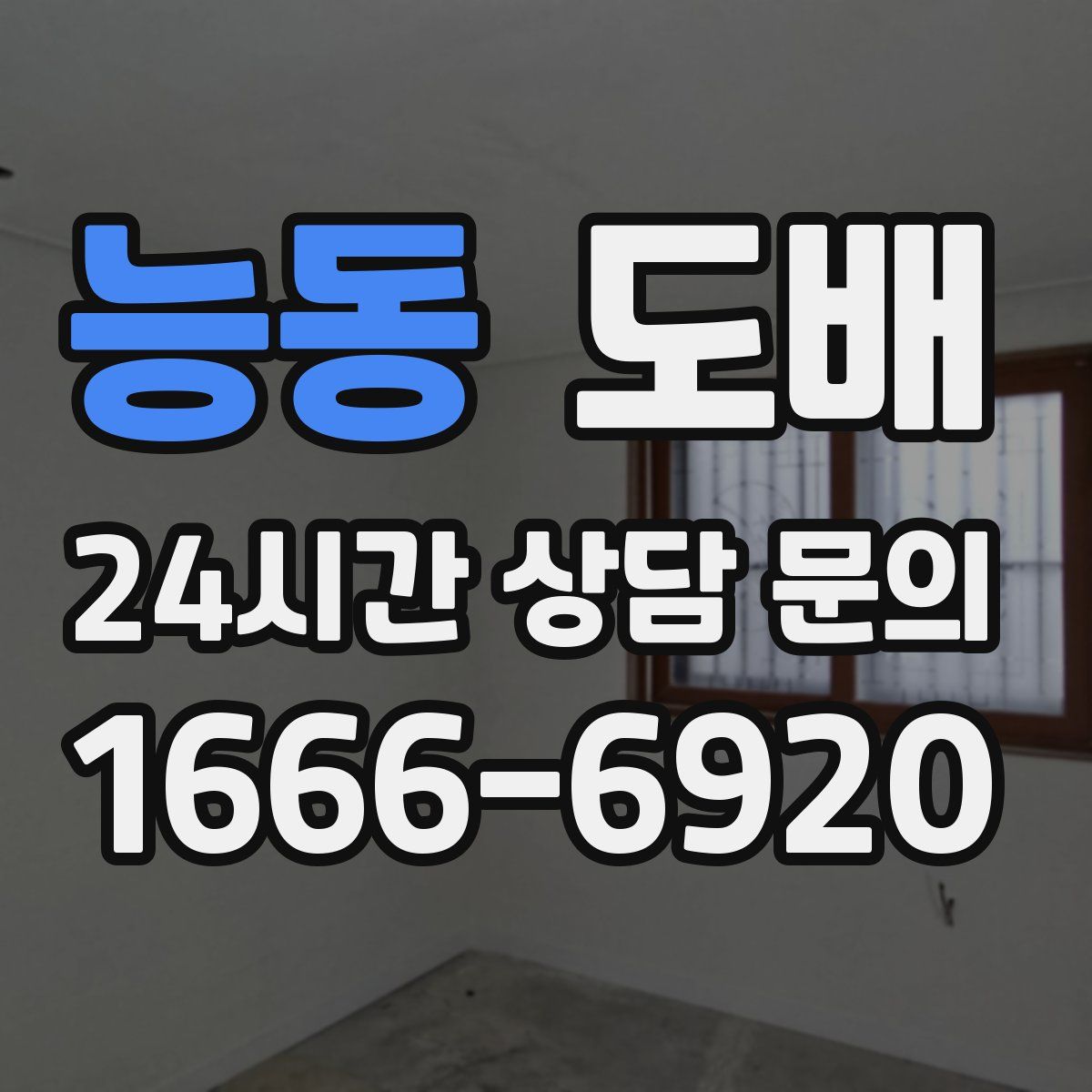 능동 도배