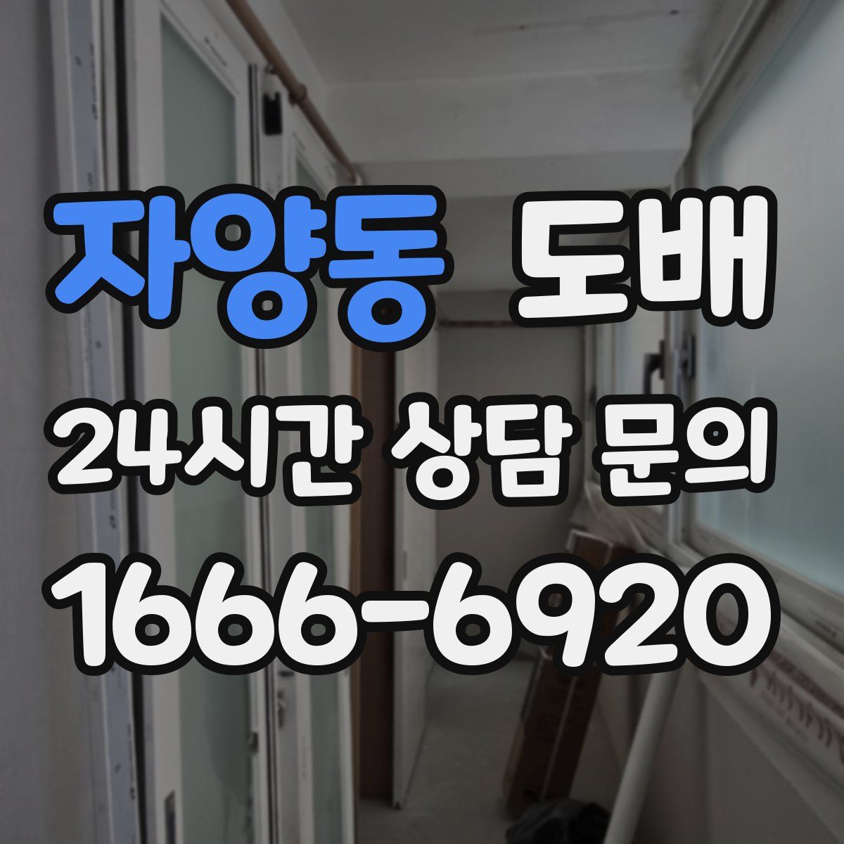 자양동 도배
