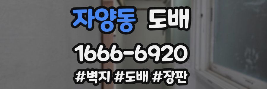 자양동 도배