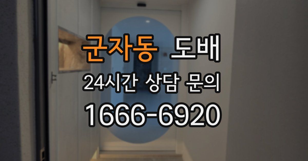 군자동 도배