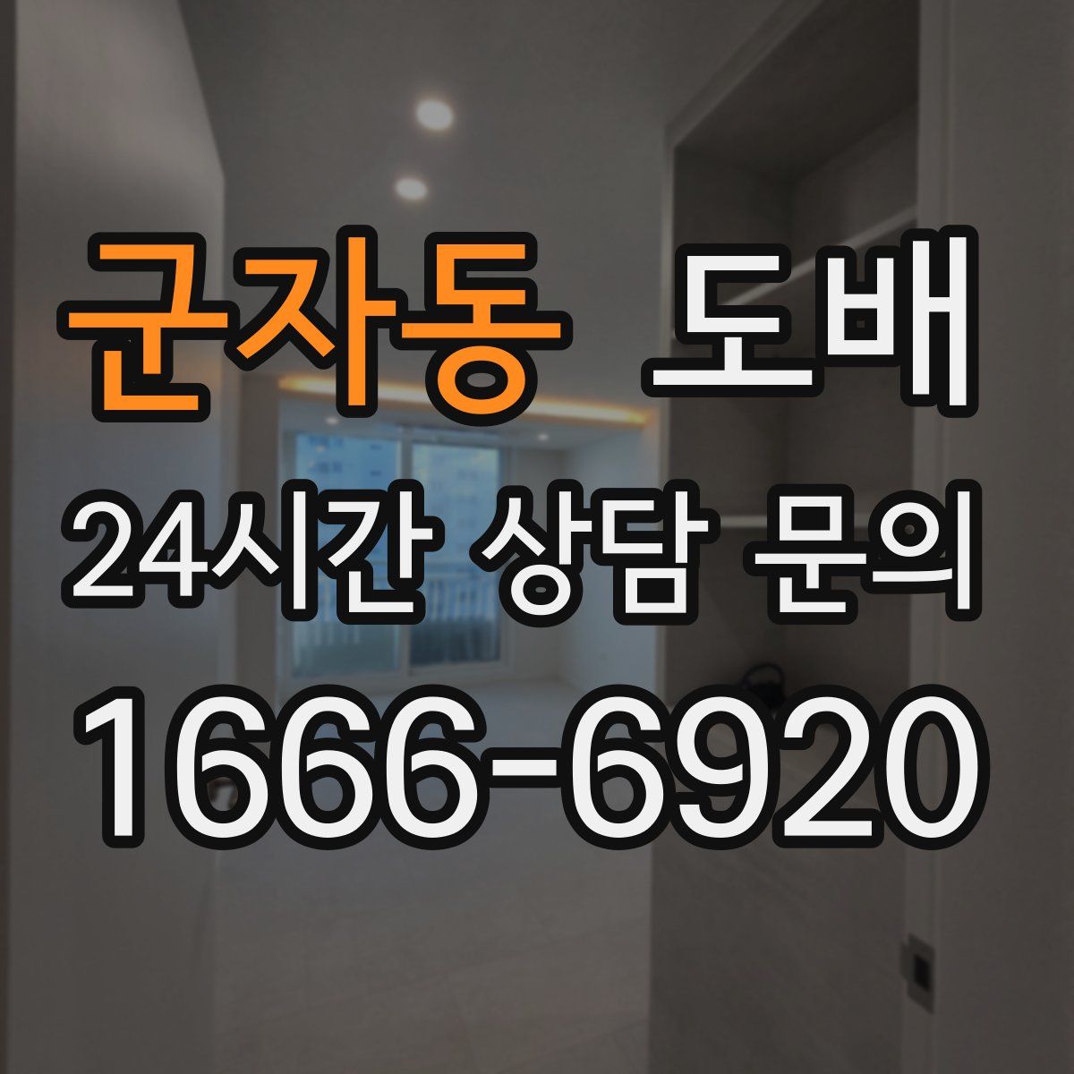 군자동 도배