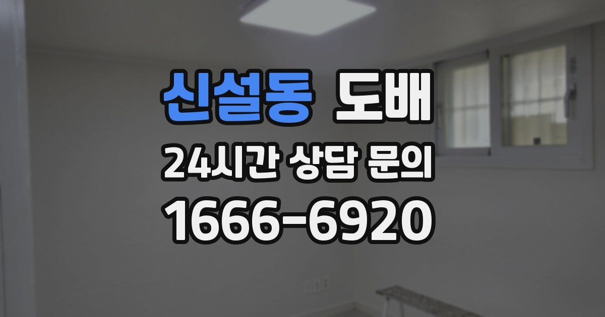 신설동 도배
