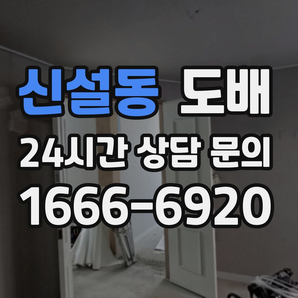 신설동 도배
