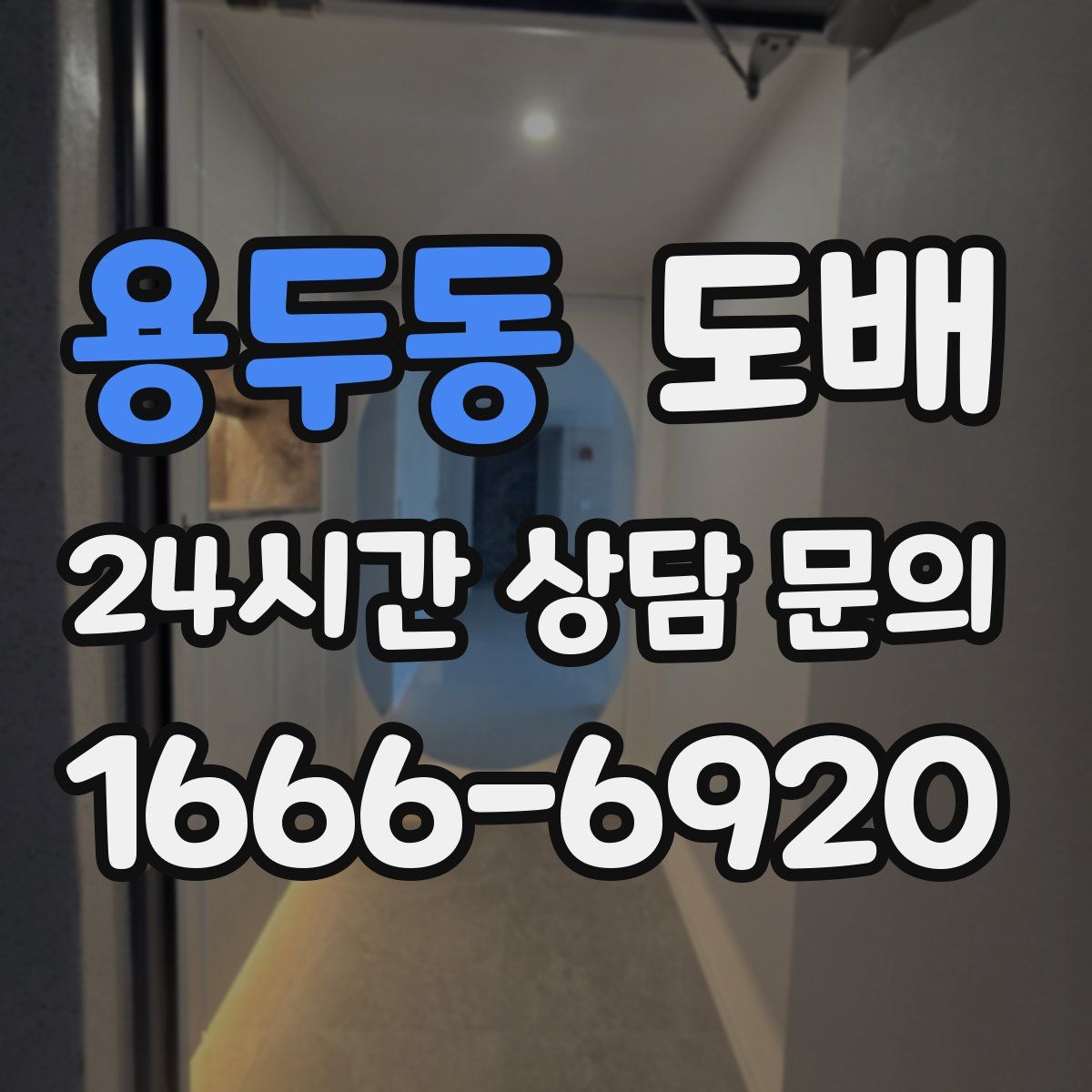 용두동 도배