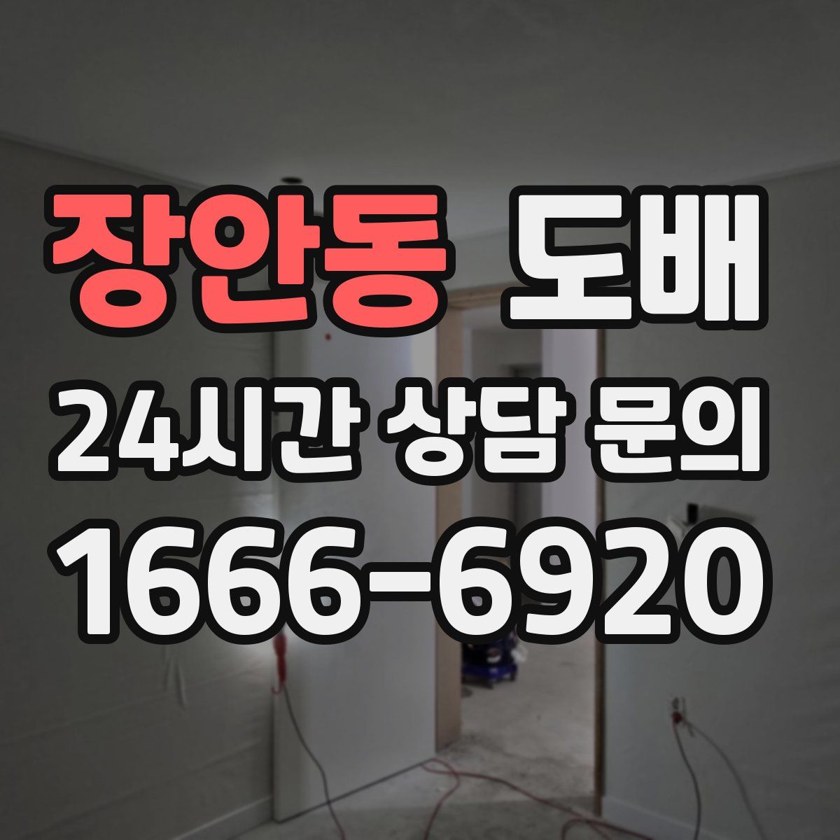 장안동 도배