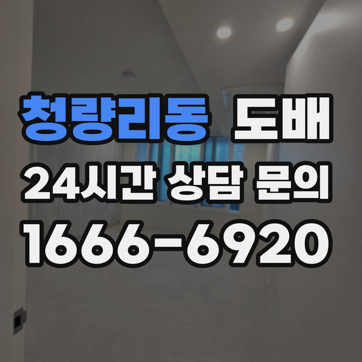 청량리동 도배