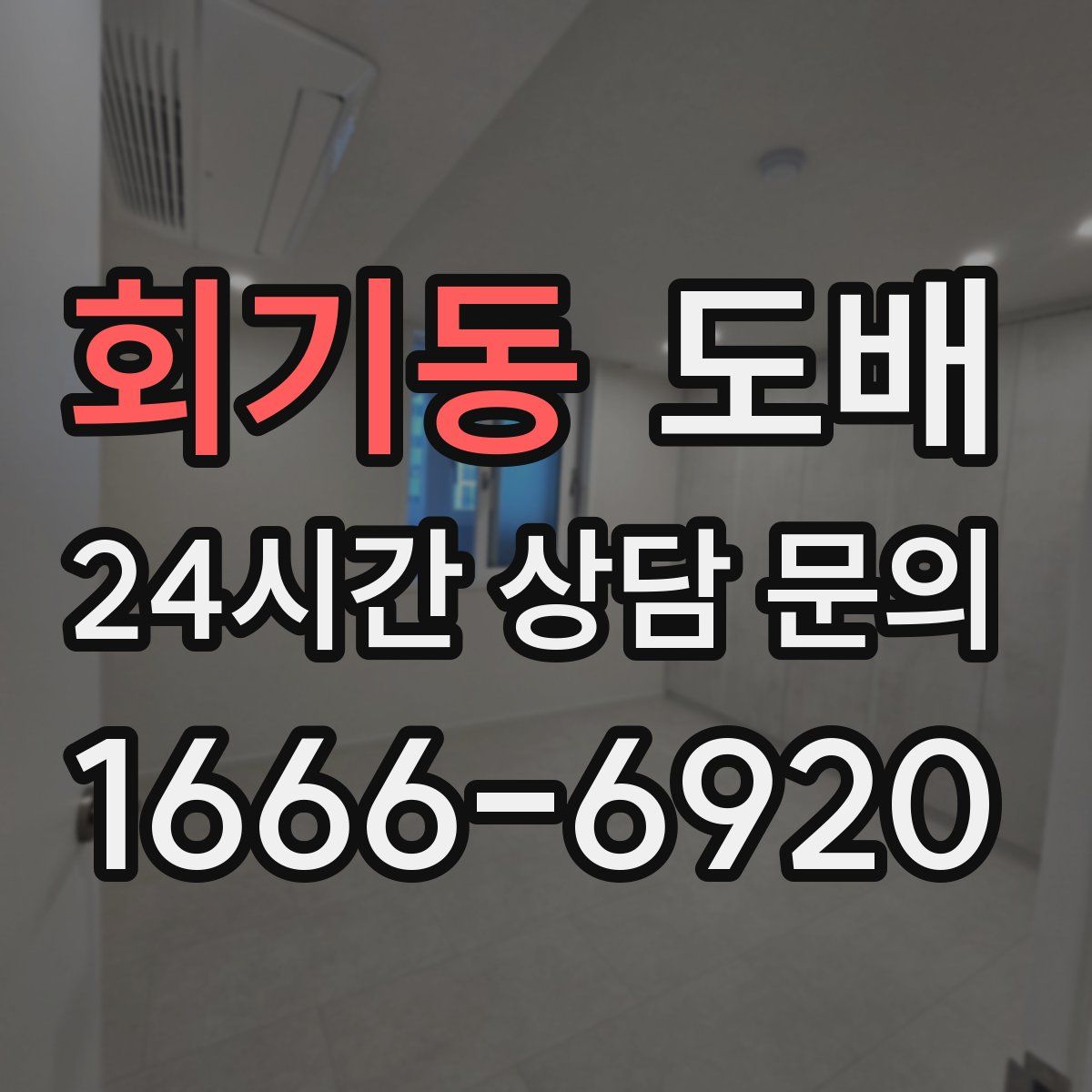 회기동 도배
