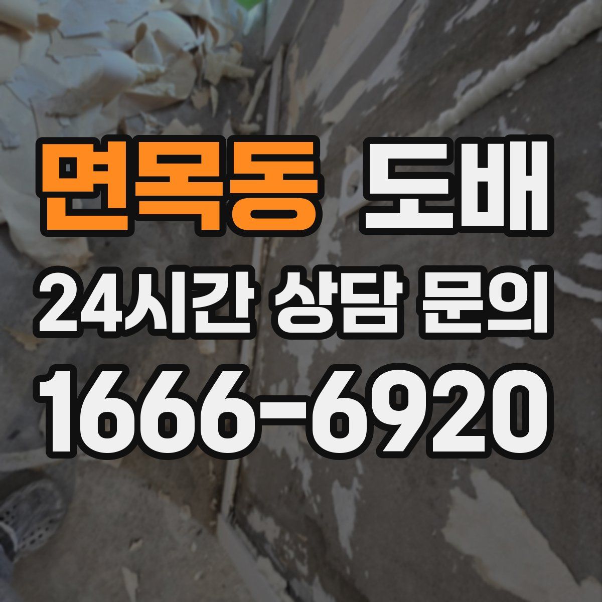 면목동 도배