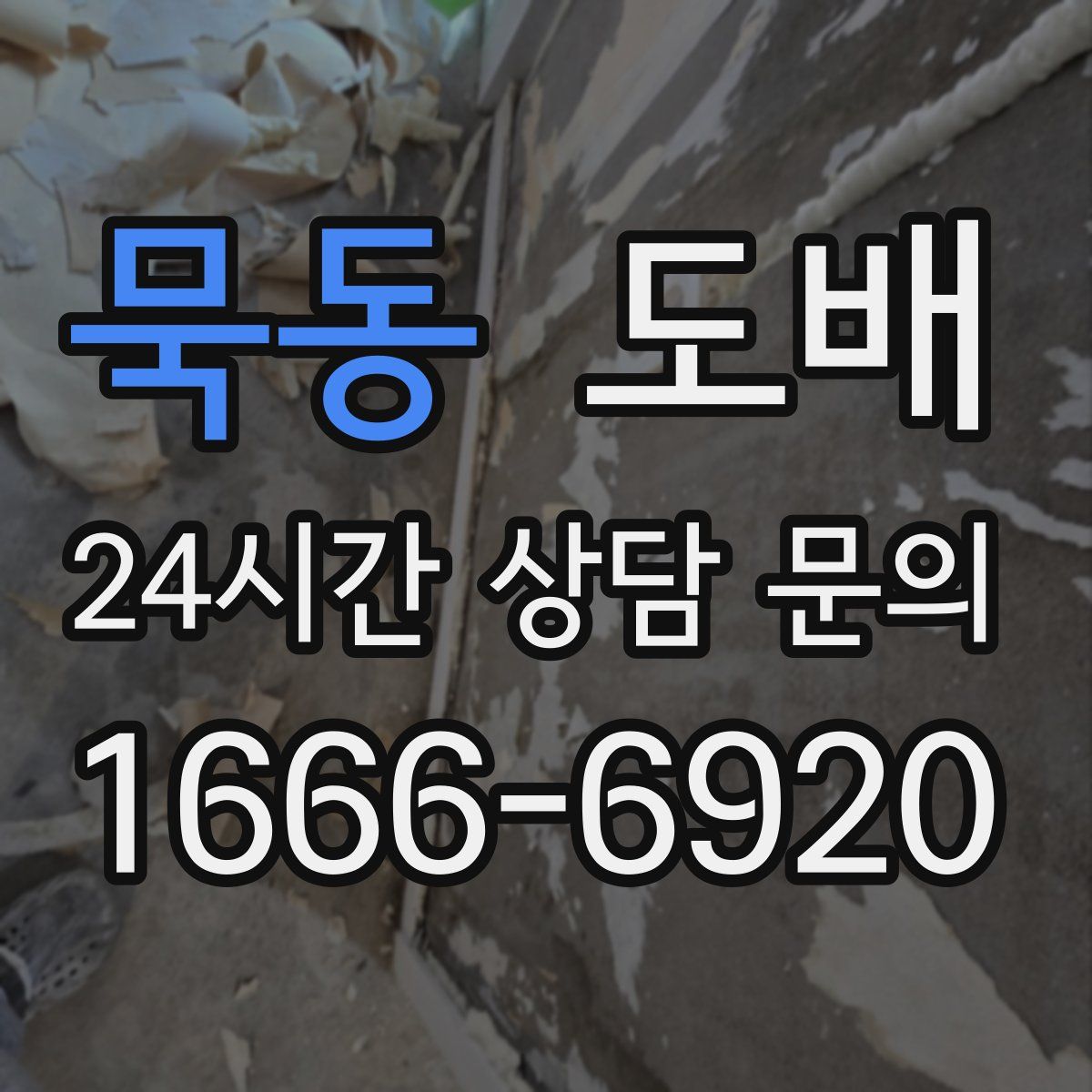 묵동 도배