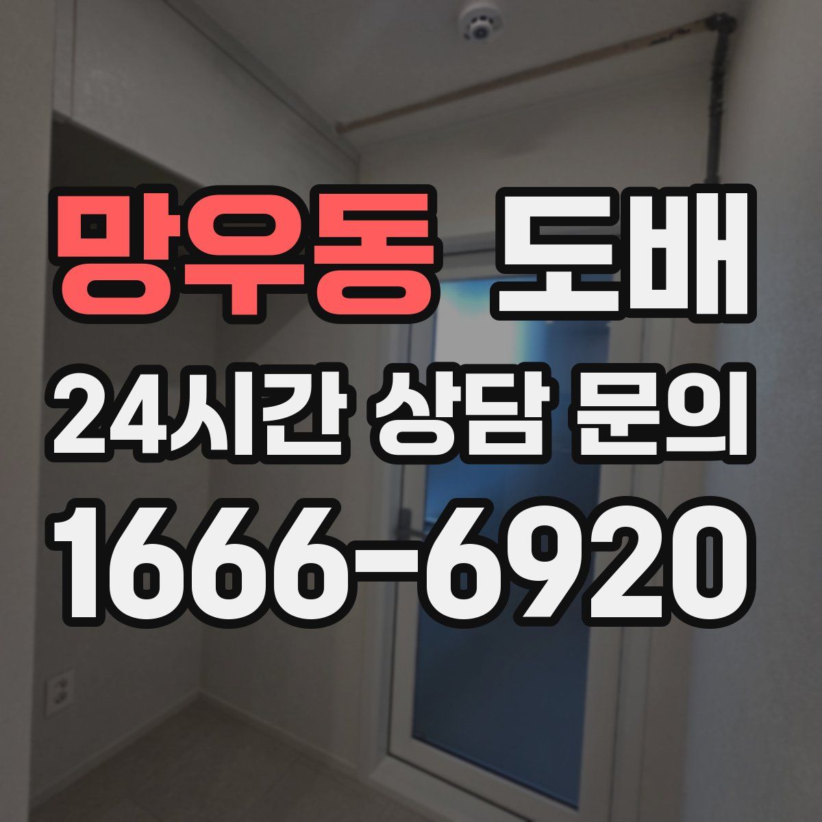 망우동 도배