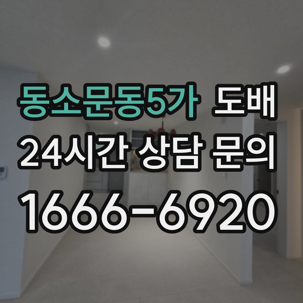 동소문동5가 도배