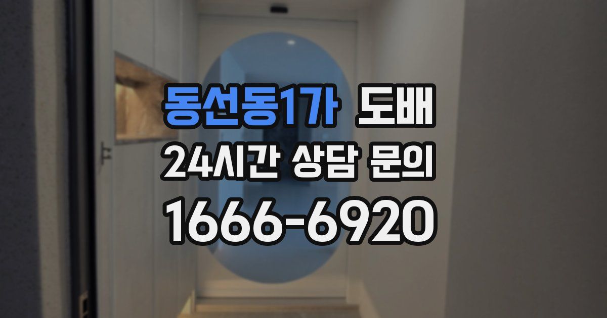 동선동1가 도배