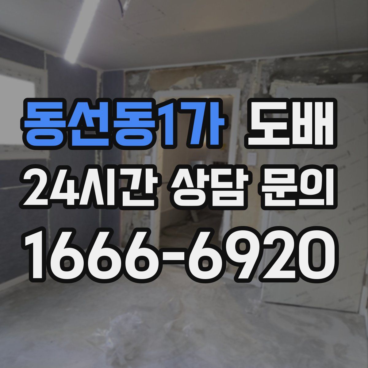 동선동1가 도배