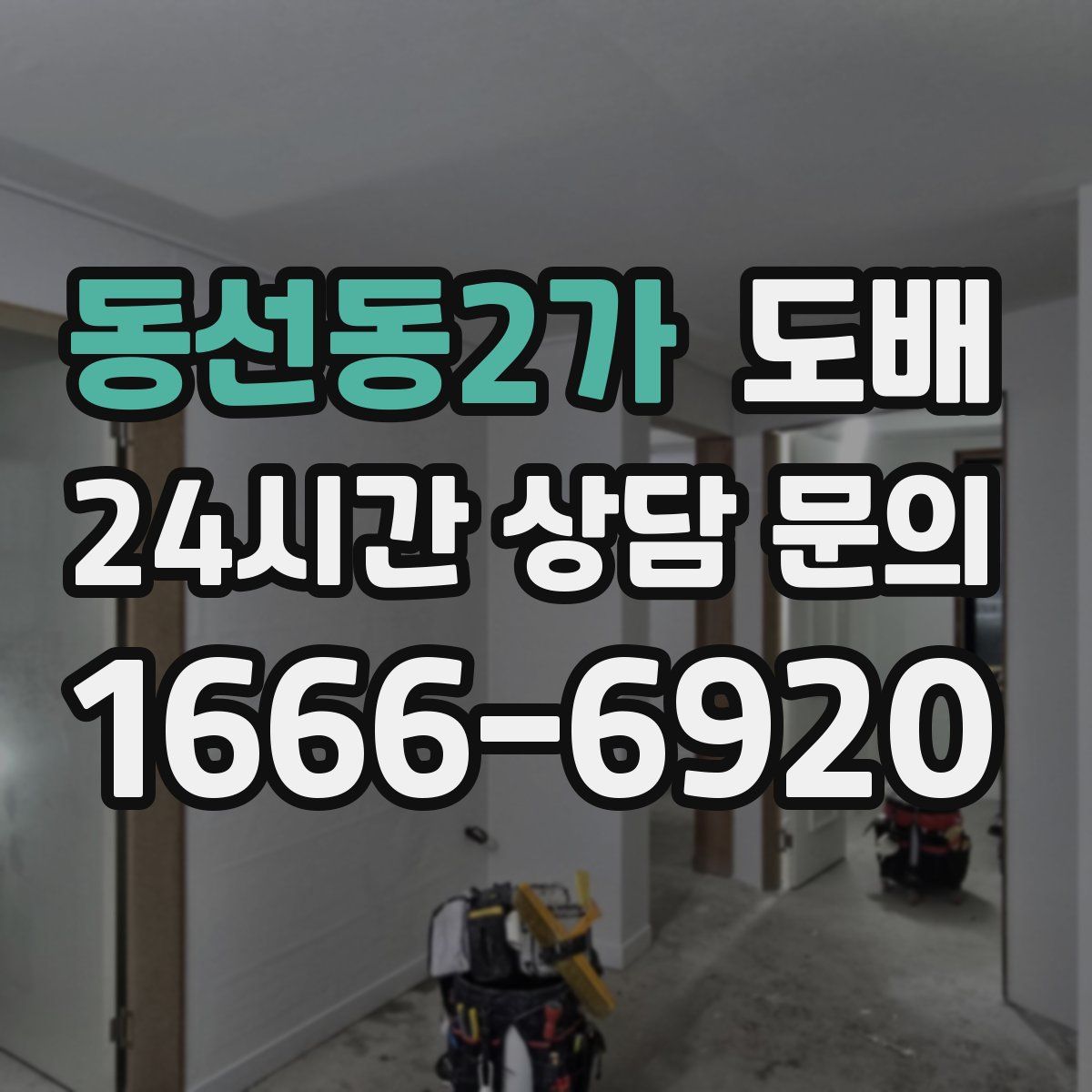 동선동2가 도배