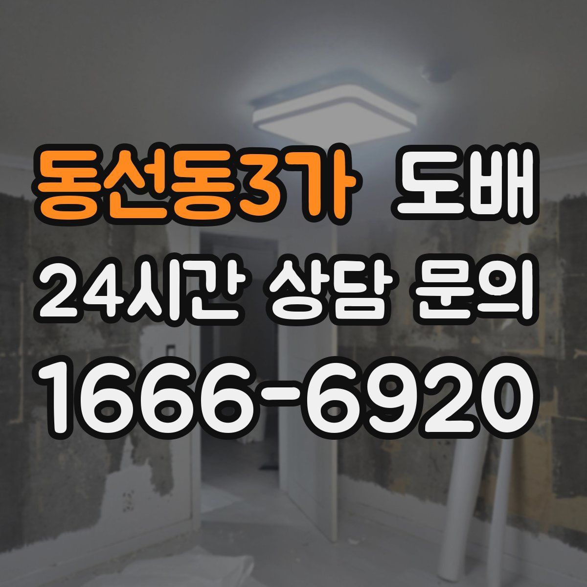 동선동3가 도배