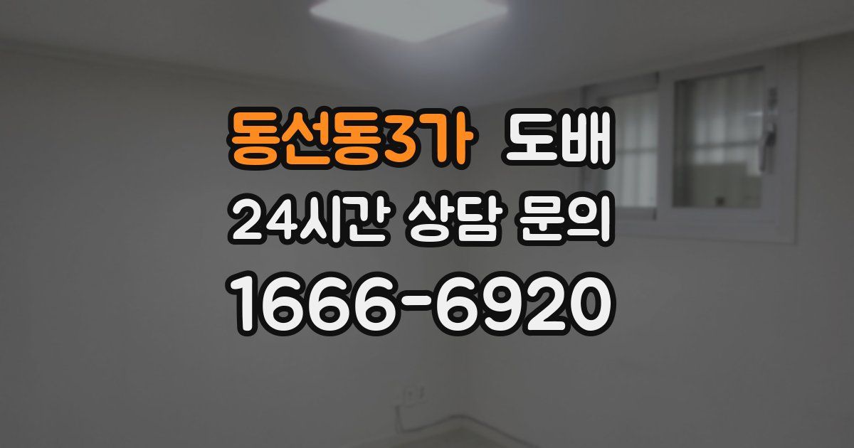 동선동3가 도배