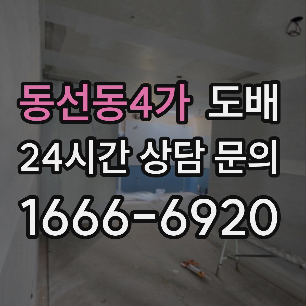 동선동4가 도배