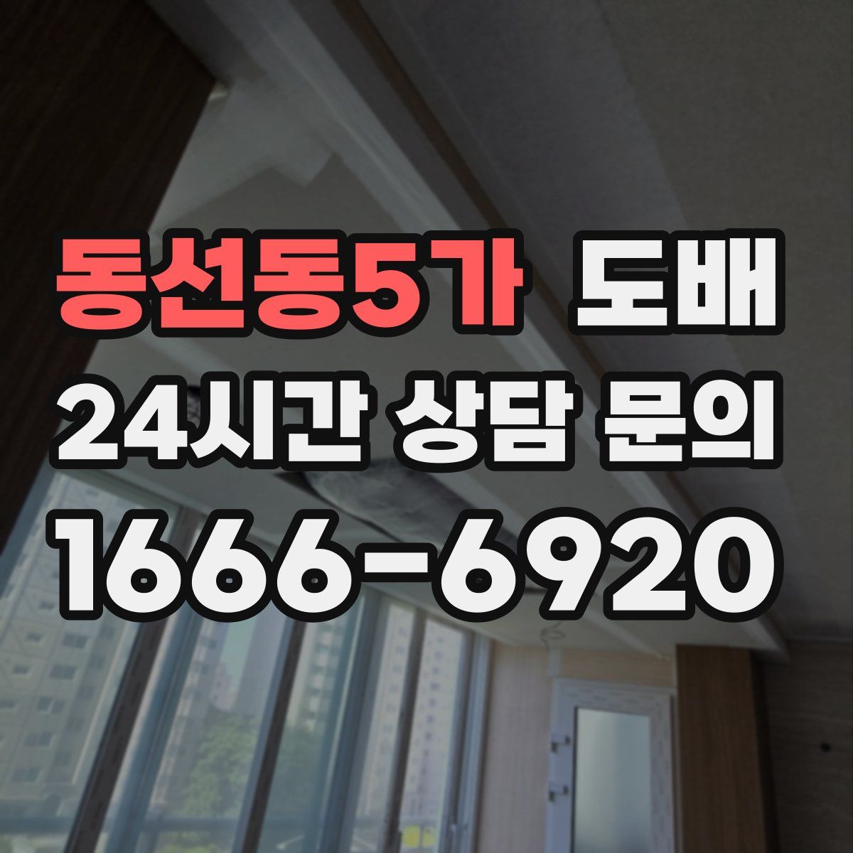 동선동5가 도배