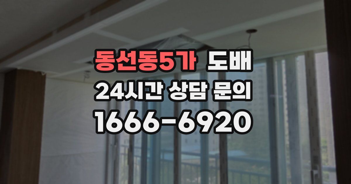 동선동5가 도배