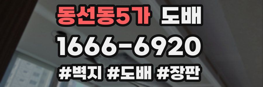 동선동5가 도배
