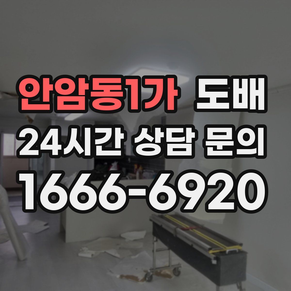 안암동1가 도배