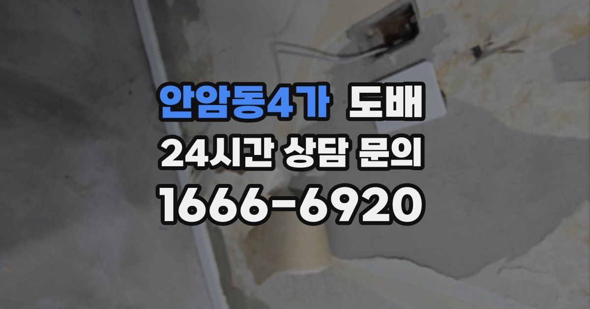 안암동4가 도배